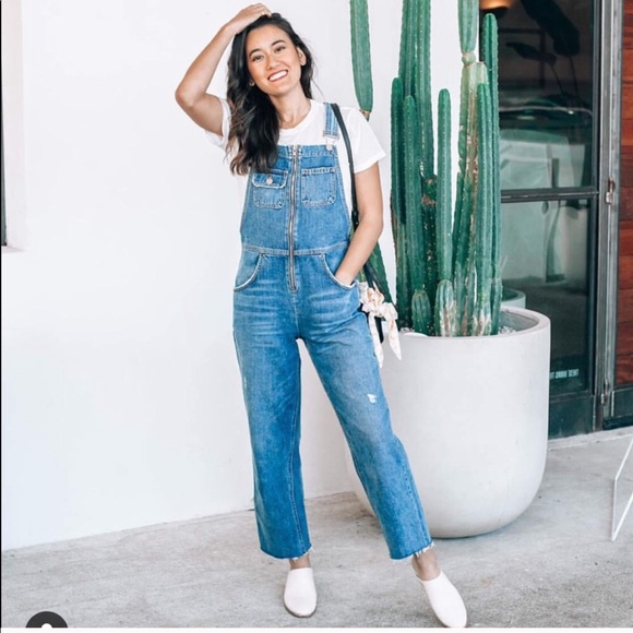 Reformation Denim - NEW • Reformation • Benji Zip Front Overalls 8